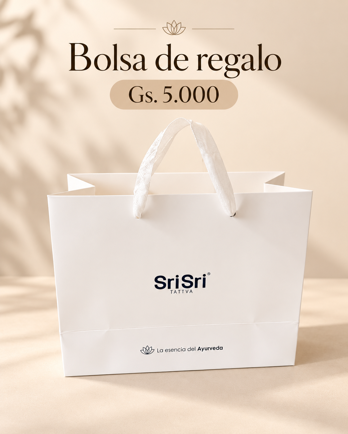 Bolsa de Regalo