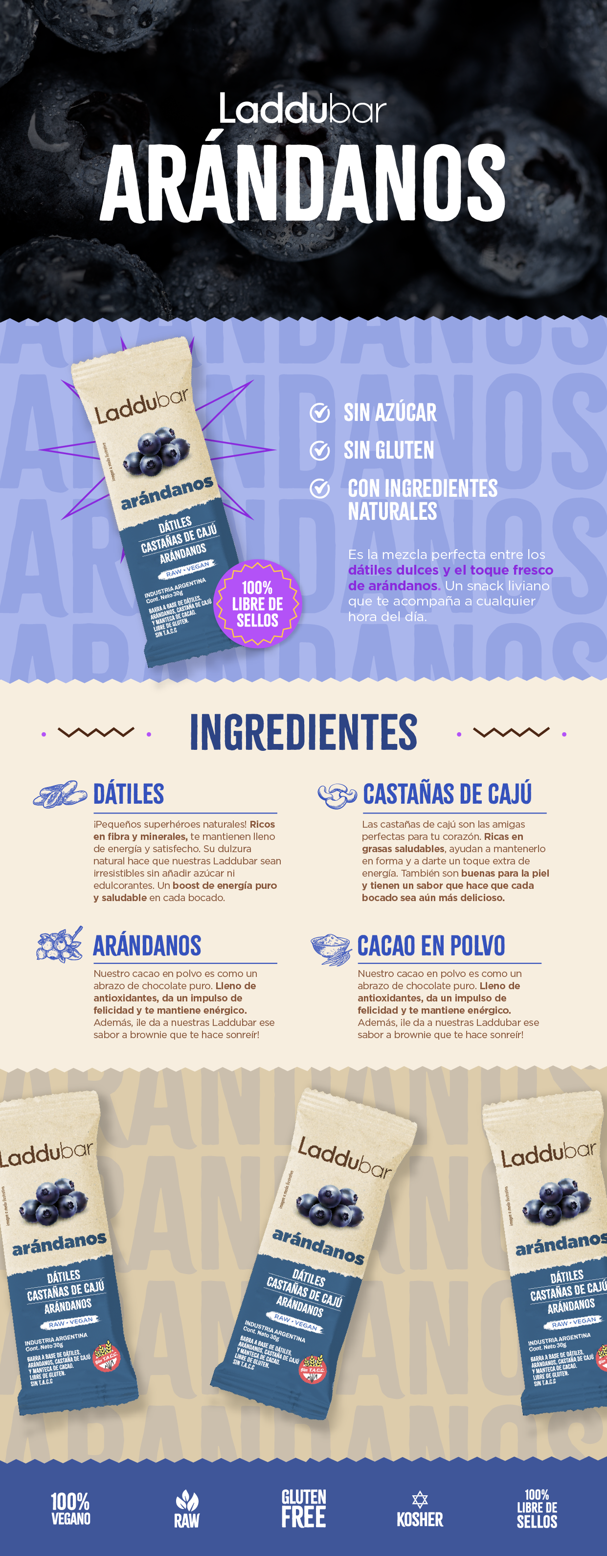 LADDUBAR ARÁNDANOS X12
