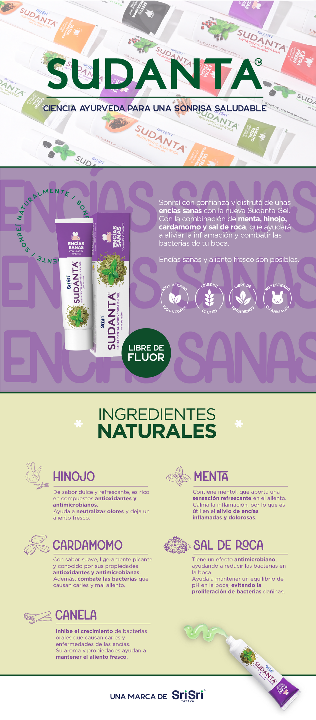 Encías Sanas 100gr - Pasta Dental Ayurvédica en Gel